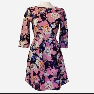 Everly Pink and Blue Floral Long Sleeve Dress